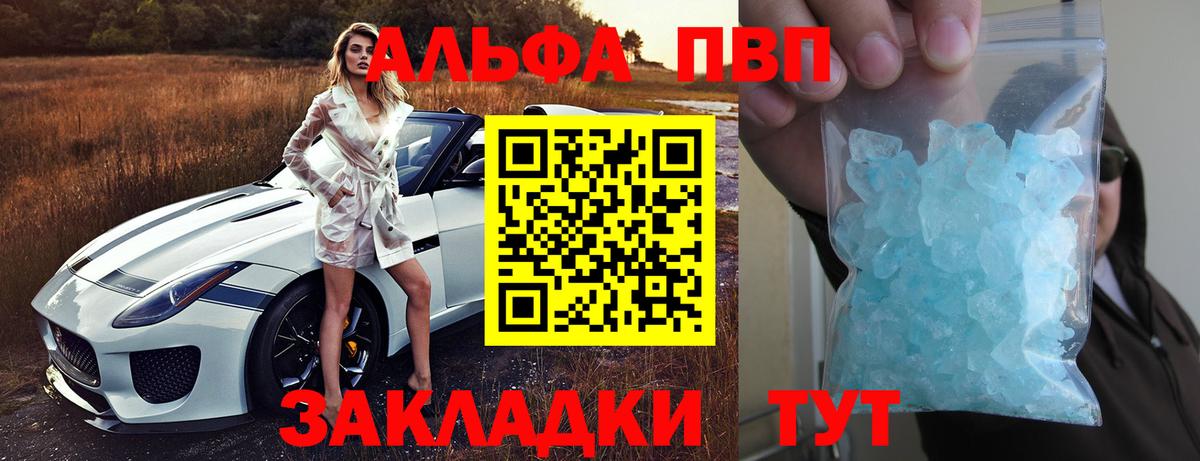 Альфа ПВП СК КРИС Великий Новгород