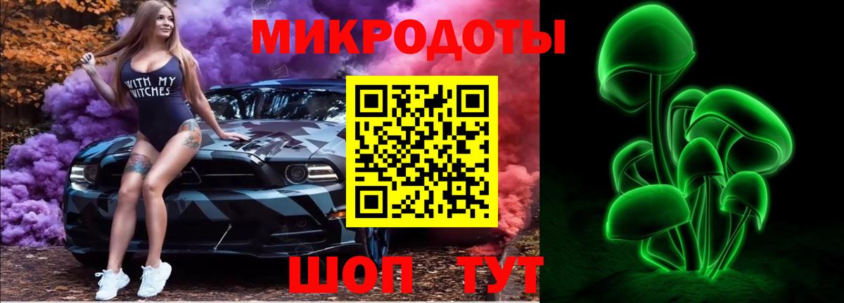 Псилоцибиновые грибы Cubensis Великий Новгород
