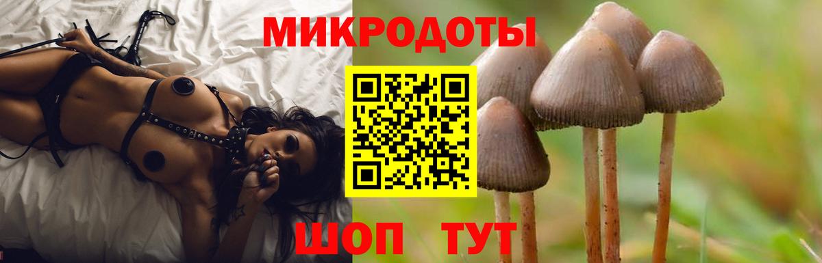 Галлюциногенные грибы прущие грибы  Галлюциногенные грибы мухоморы  Великий Новгород  Вход с VPN 